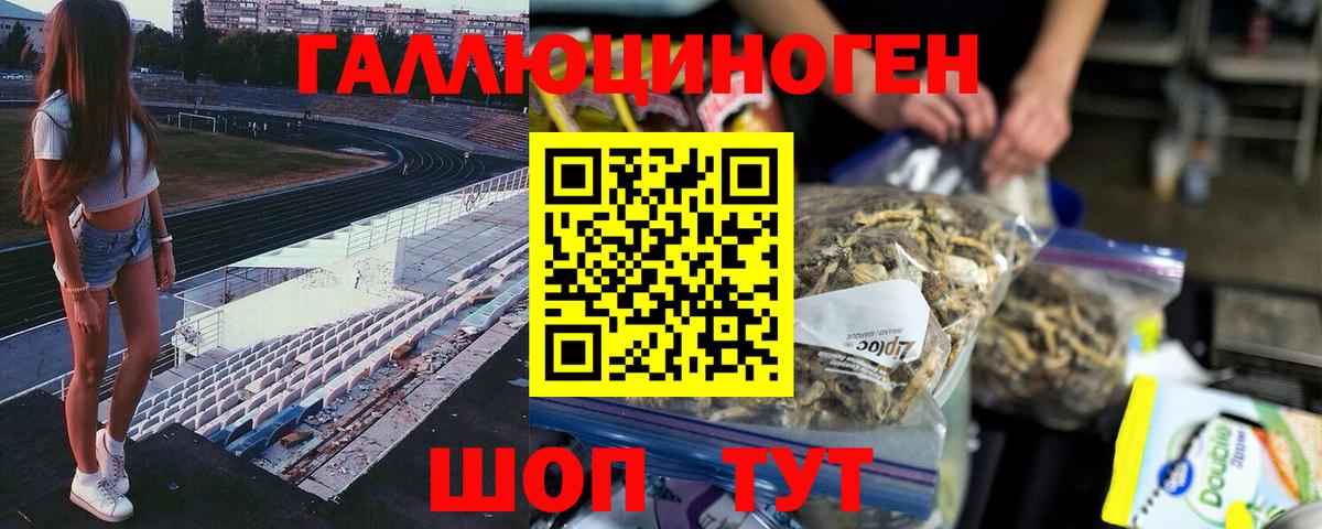 Псилоцибиновые грибы Cubensis Самара